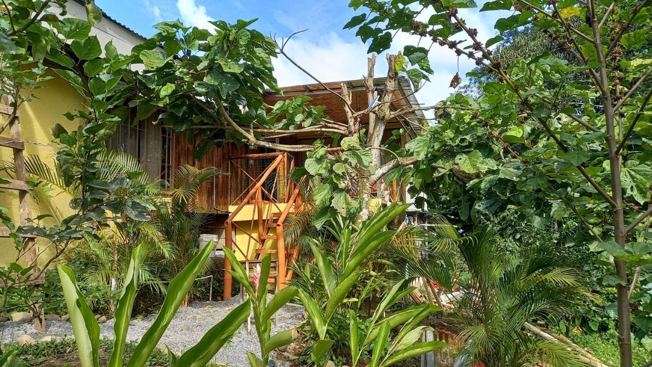 Cacao Lodge And Tours Ла Фортуна Экстерьер фото